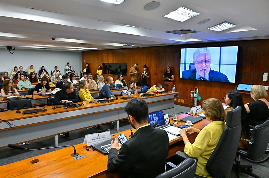 Plenário da Comissão de Direitos Humanos do Senado durante audiência pública com participação por videoconferência