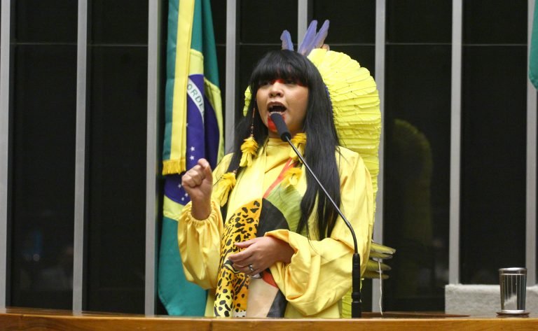 Deputada Célia Xakriabá discursa na tribuna da Câmara dos Deputados