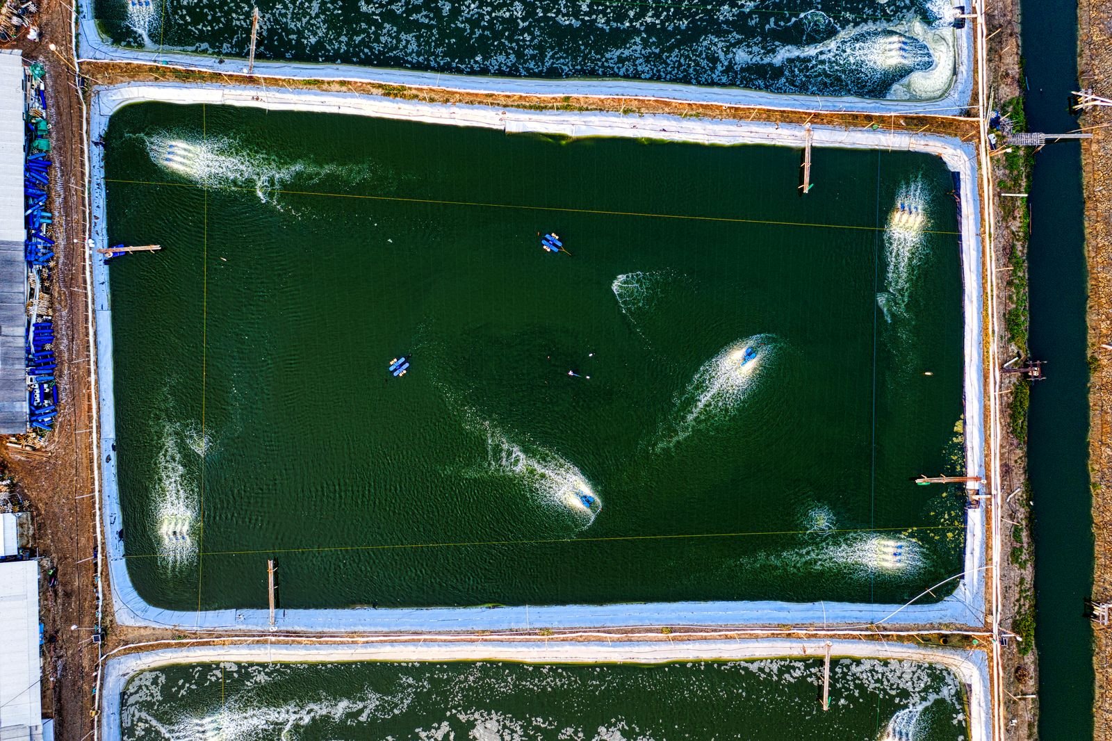 Vista aérea de tanque de aquicultura com aeradores na superfície da água, foto de arquivo