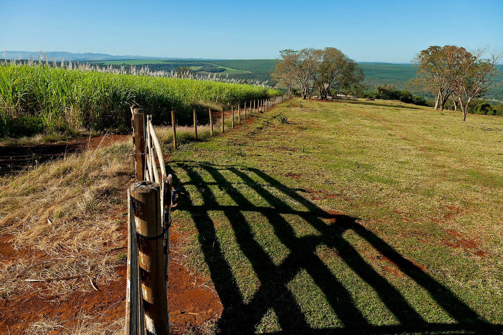 Cerca de arame com mourões de madeira dividindo canavial e pasto em propriedade rural brasileira, com serra ao fundo