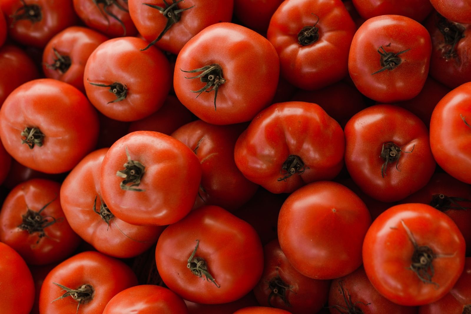 Tomates maduros empilhados em close, o item que mais pressionou o IPCA-15 de outubro