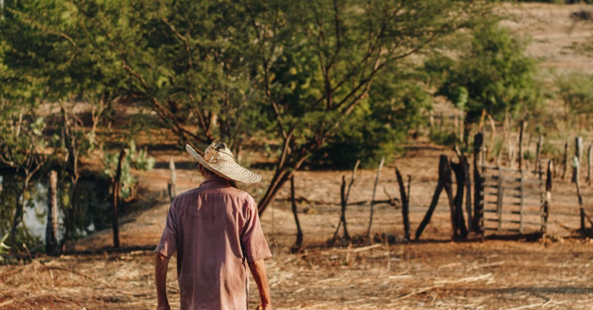 Homem de chapéu de palha caminha em uma área rural de terra seca no Brasil