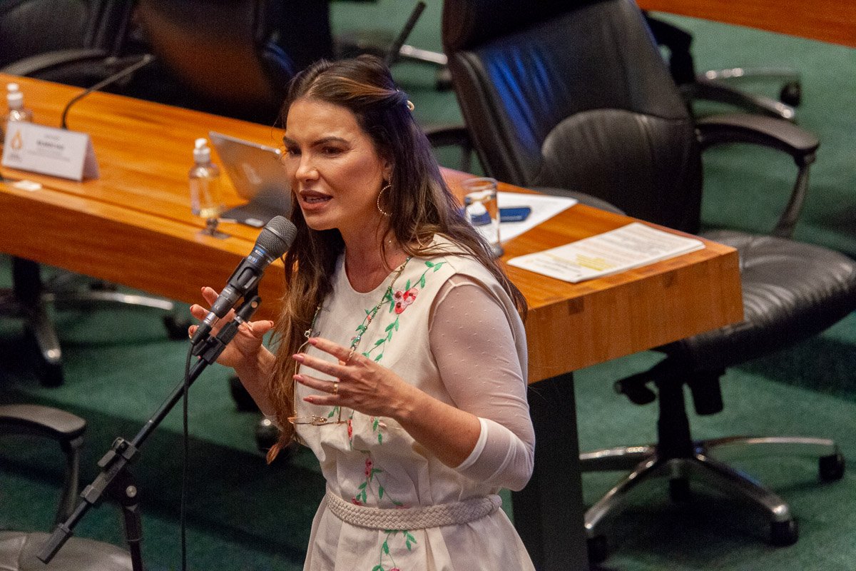 Parlamentar discursa ao microfone em sessão no plenário da Câmara Legislativa do Distrito Federal