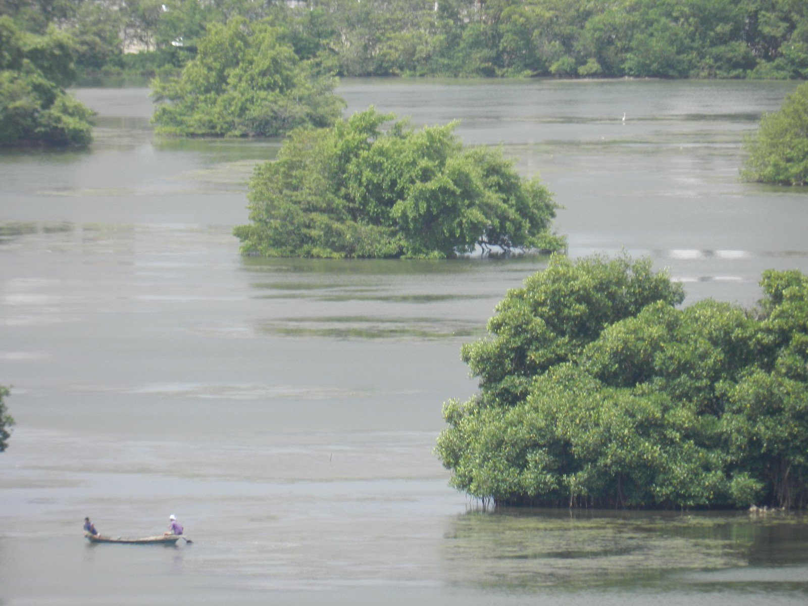 Pescadores em canoa na Lagoa do Jansen, em São Luís, no Maranhão