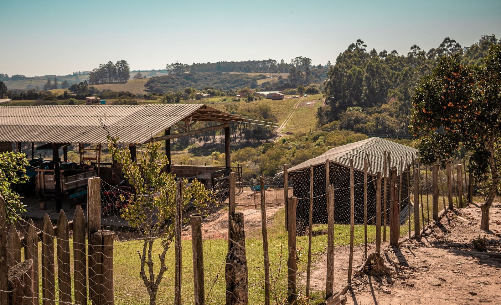 Cerca de madeira e arame em propriedade rural com galpão e pomar ao fundo