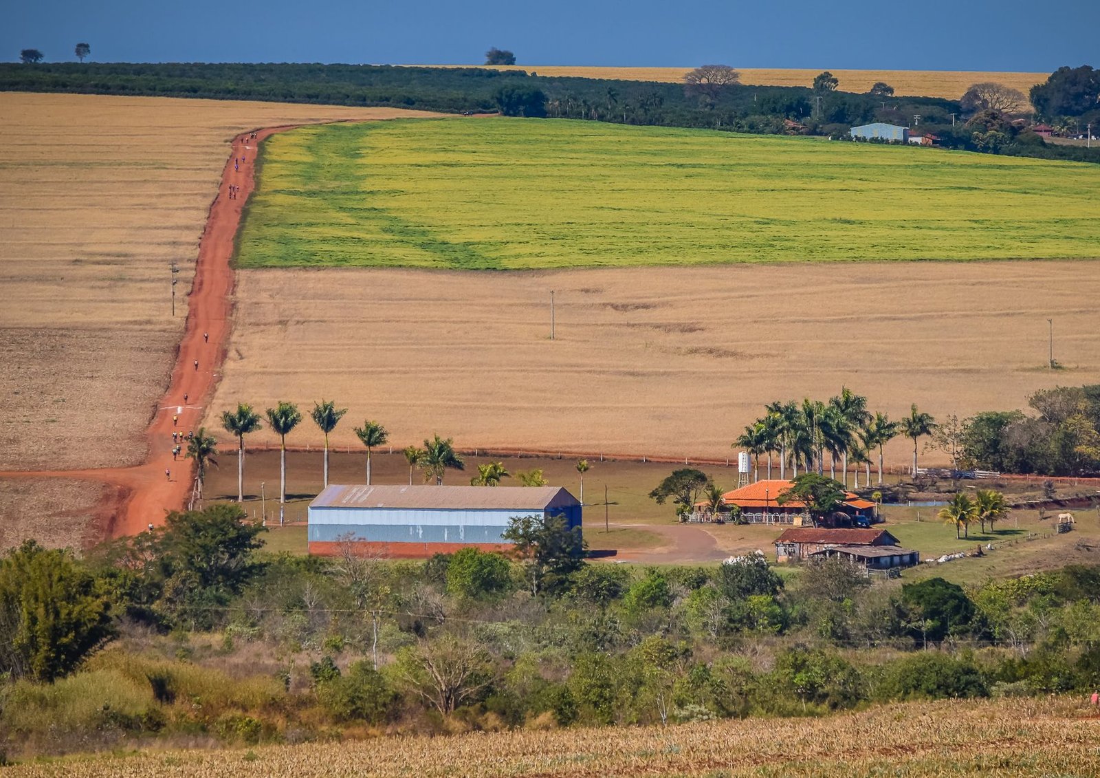 Lavoura e sede de propriedade rural no interior do Brasil, com estrada de terra (foto de arquivo)