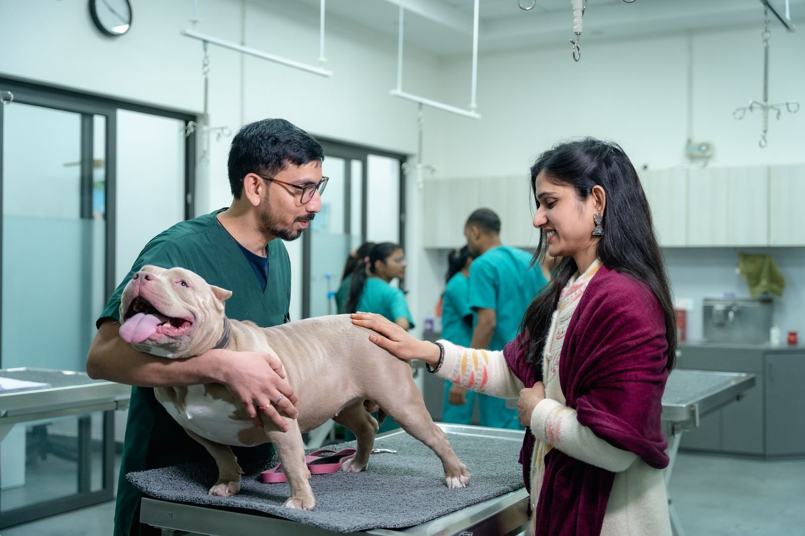 Veterinário segura um cão sobre a mesa de exame enquanto a tutora acaricia o animal em uma clínica