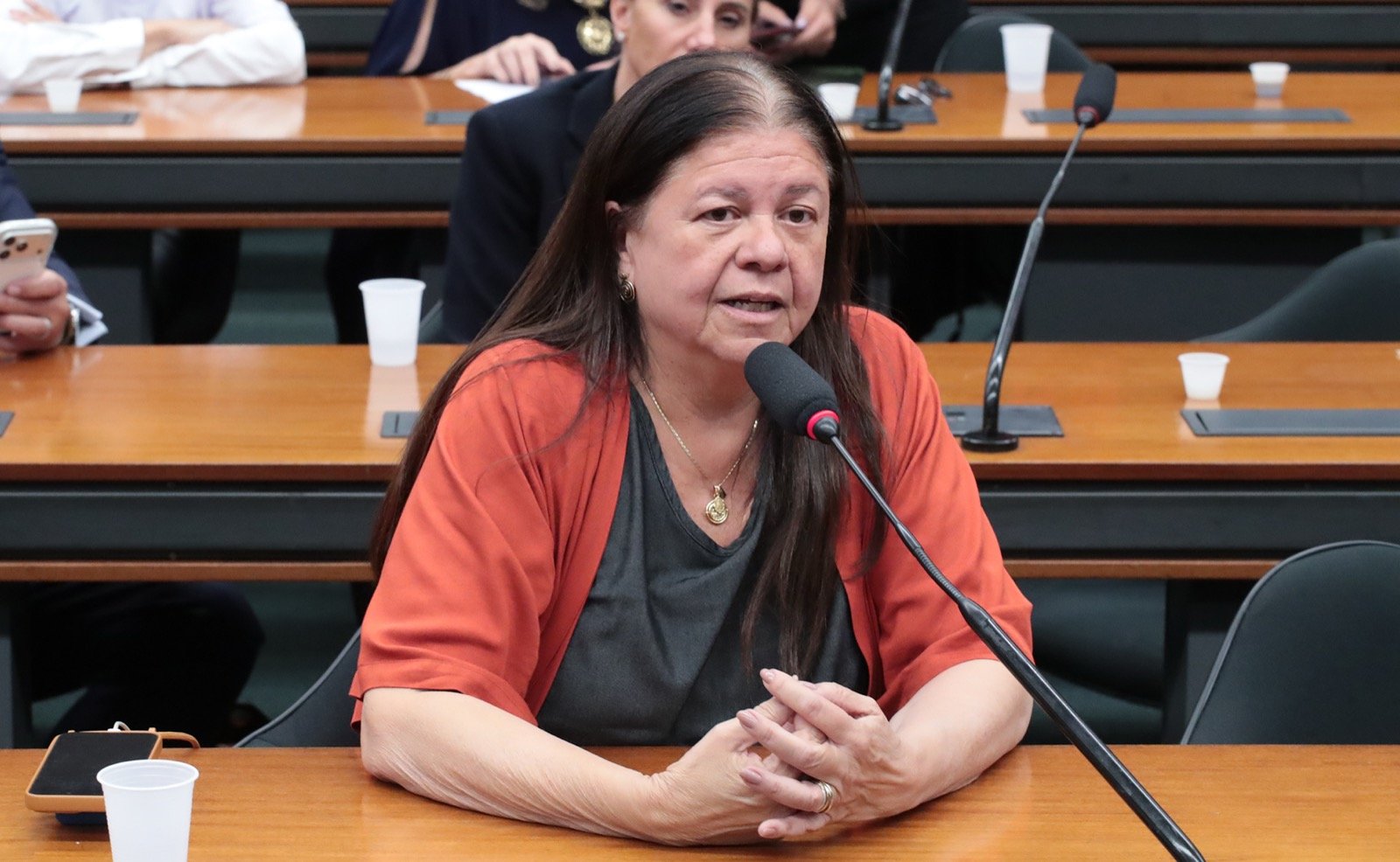 Deputada Laura Carneiro fala ao microfone durante reunião de comissão na Câmara