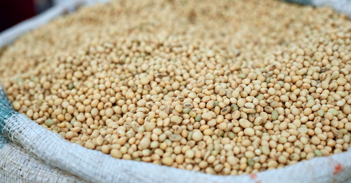 Saca aberta com grãos de soja em close, ilustrando a produção agrícola brasileira