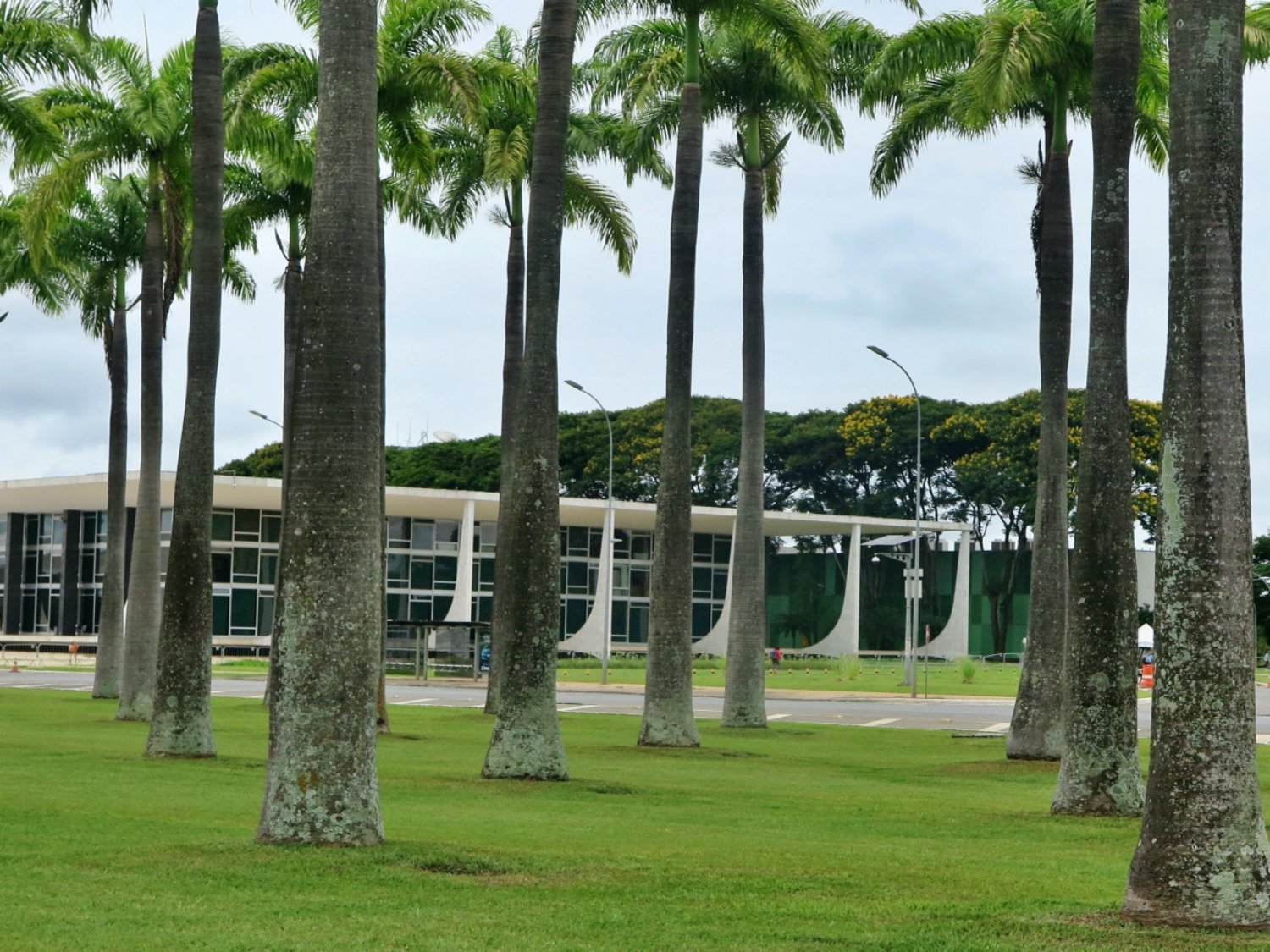 Fachada do Supremo Tribunal Federal vista entre palmeiras imperiais